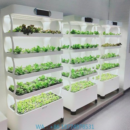Automatyczny system hydroponic – Diy Home Automation System recenzja i cena